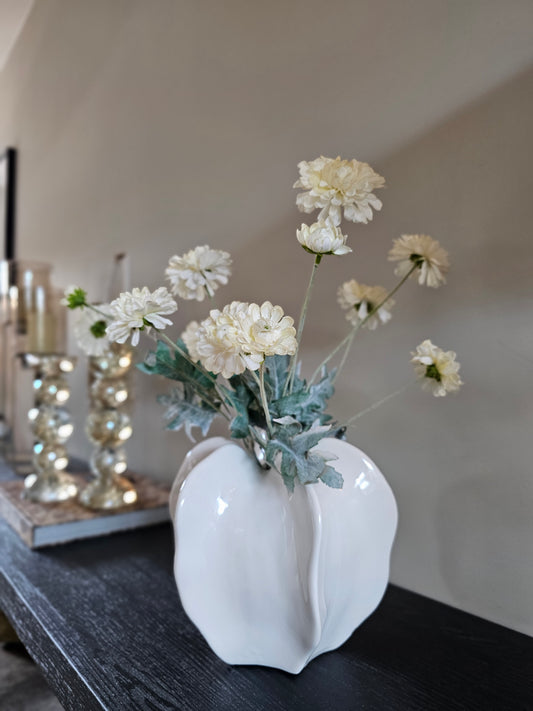 Vaas | Organicshell |