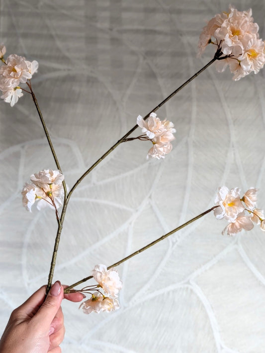 Bloesem | creme | 84cm |