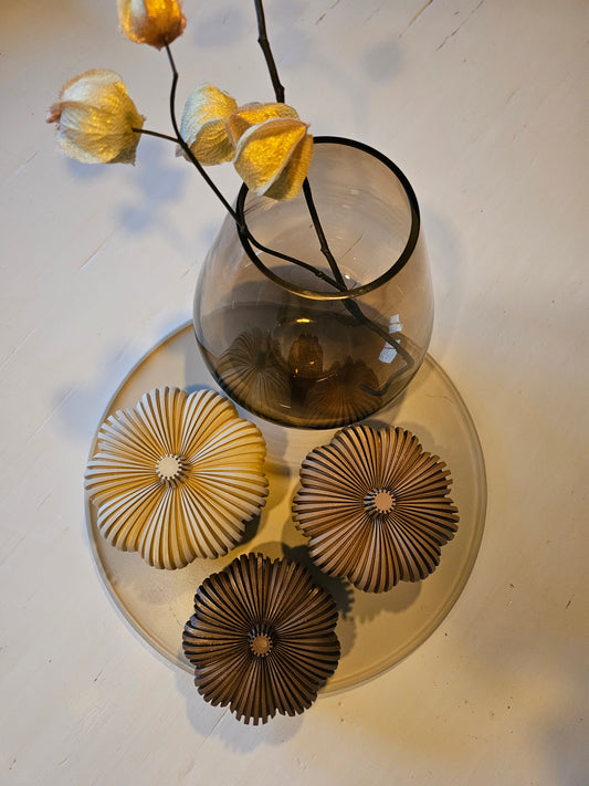 Set van 3 pompoenen |