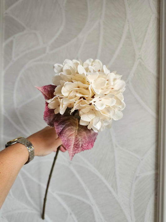 Hortensia | Beige | 65cm |