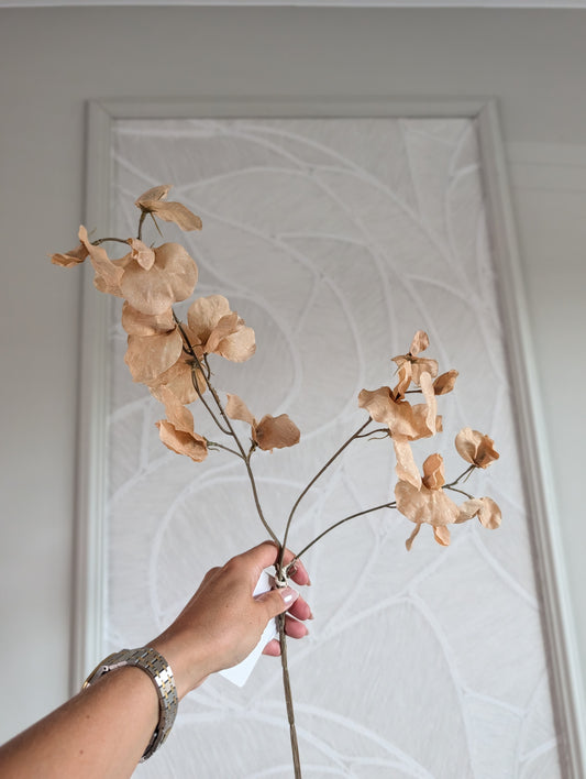 Erwtebloemtak | 73cm |