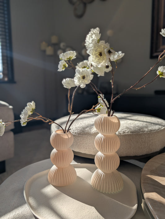 | Vaasjes | Miguel |