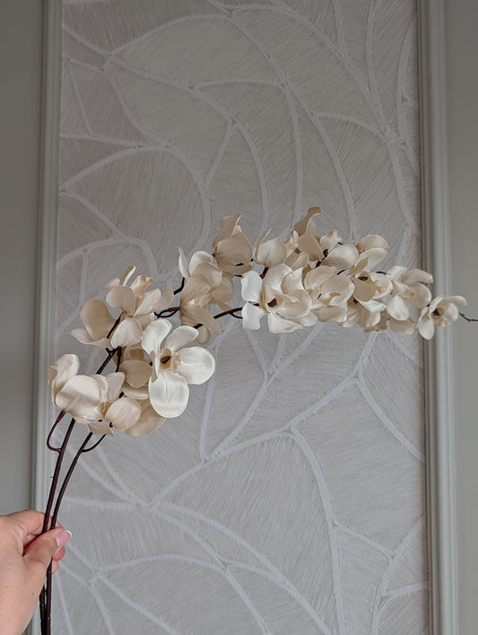 Creme | Flora | 112cm |