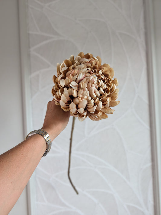Autumn | Chrysant|