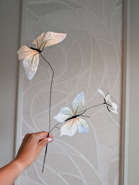 Ivory| Butterfly | 62 cm |