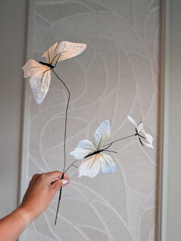 Ivory| Butterfly | 62 cm |