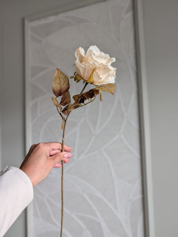 Roos | Creme | 64cm |