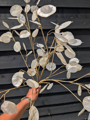 Lunaria| Parelmoer | 88cm |