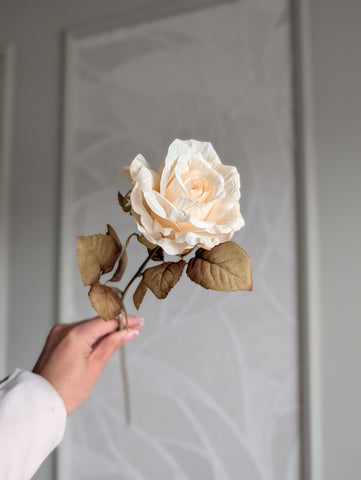 Roos | Creme | 64cm |