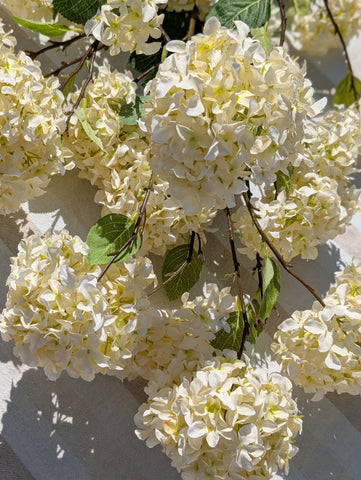 Sneeuwbal | Hydrangea | 130cm |