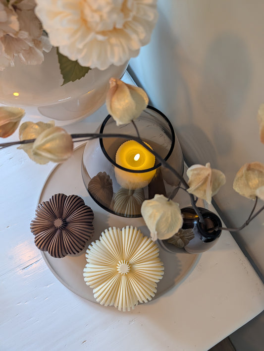 Pompoen set | Creme Bruin |