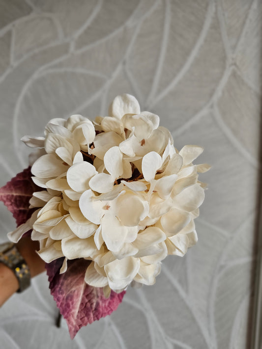Hortensia | Beige | 65cm |