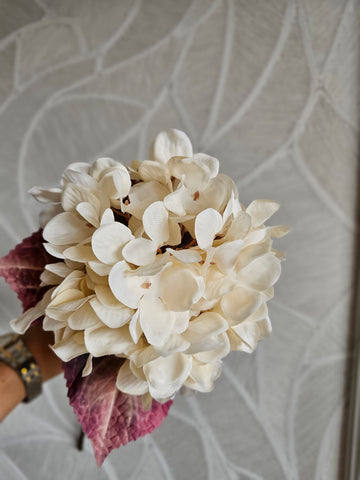 Hortensia | Beige | 65cm |