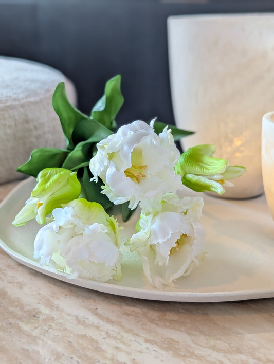 Bosje | Papagaai tulpen | 40cm |