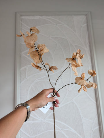 Erwtebloemtak | 73cm |