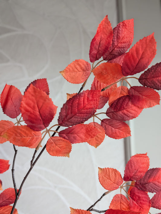 Herfsttak | Warm Orange |