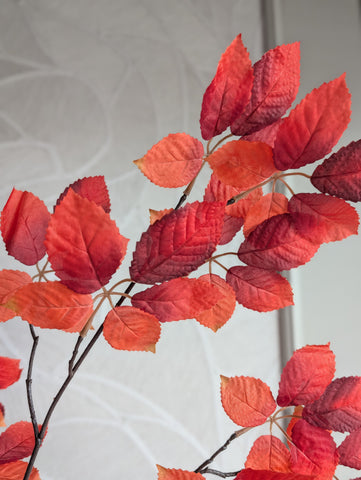 Herfsttak | Warm Orange |