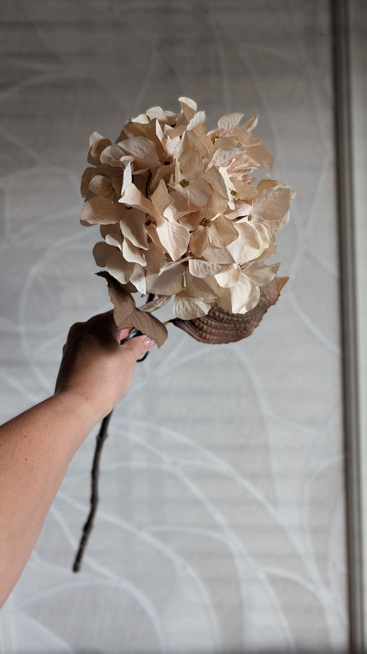 Herfst Hortensia | 65cm |