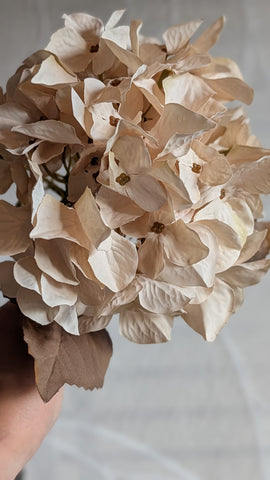 Herfst Hortensia | 65cm |