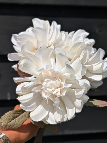 Dahlia | Warm wit | 57cm |