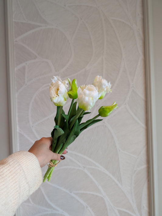 Bosje | Papagaai tulpen | 40cm |