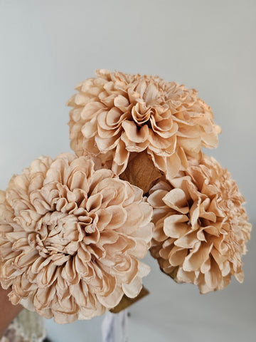 Herfstbloem | Dahlia | 73cm