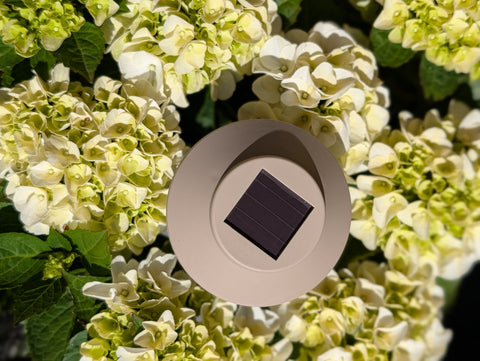 Lampje | Lumia |