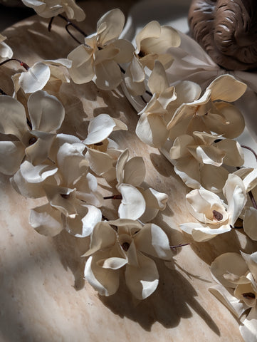 Creme | Flora | 112cm |
