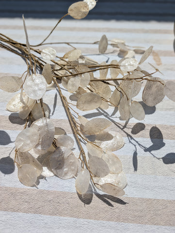 Lunaria| Parelmoer | 88cm |