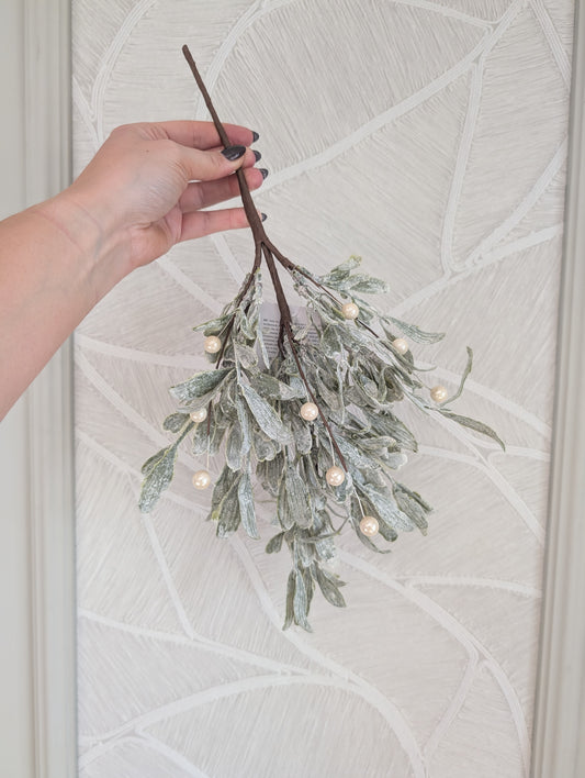 Mistletoe | Maretak |