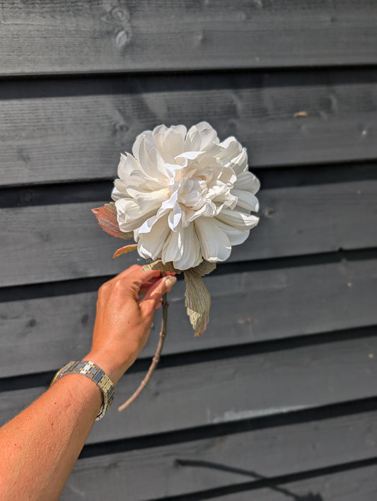 Dahlia | Warm wit | 57cm |