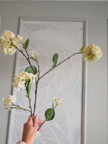 Sneeuwbal | Hydrangea | 130cm |