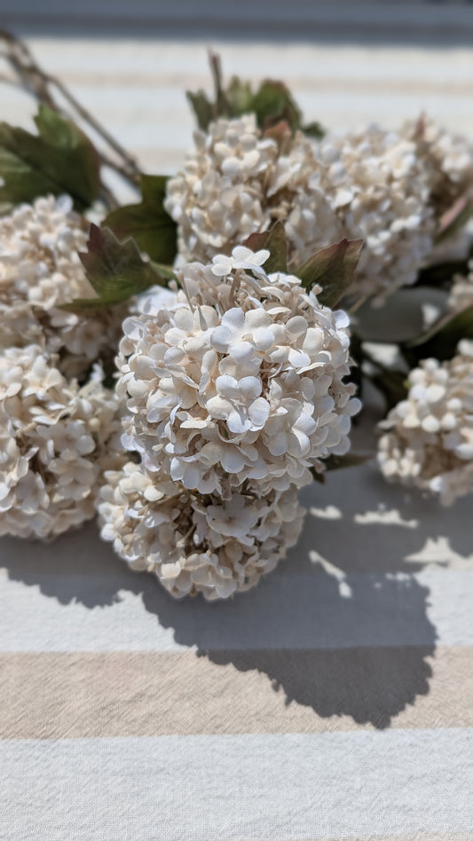 Elegant | Viburnum | 77cm |