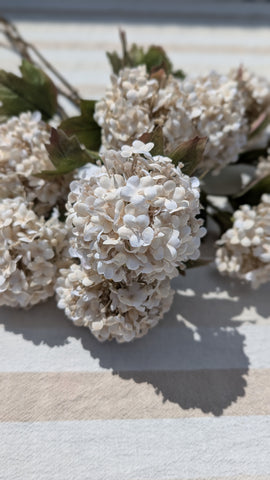 Elegant | Viburnum | 77cm |