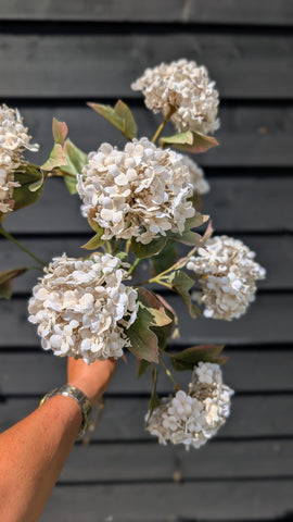Elegant | Viburnum | 77cm |