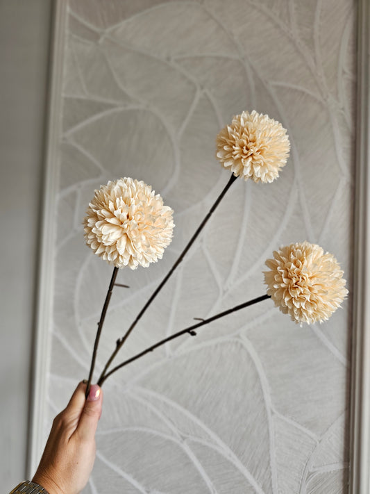 Pompom | Tak |