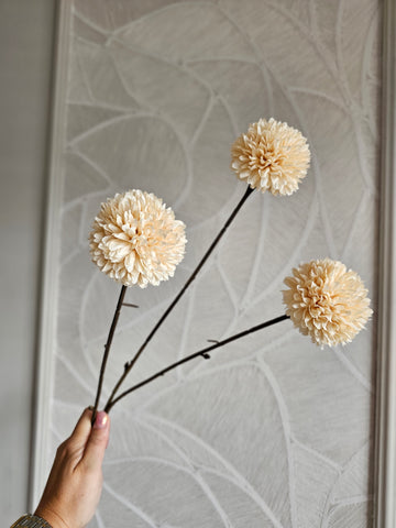 Pompom | Tak |