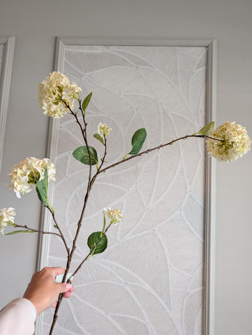 Sneeuwbal | Hydrangea | 130cm |