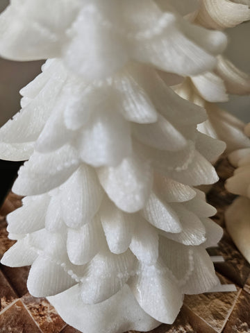 Kerstboompjes