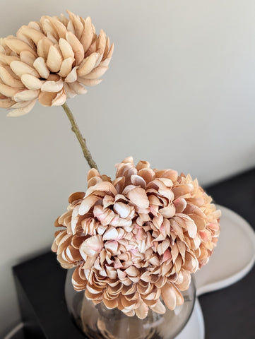 Autumn | Chrysant|