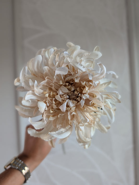 Spidermum | Chrysant | 60cm |