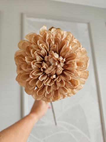 Herfstbloem | Dahlia | 73cm