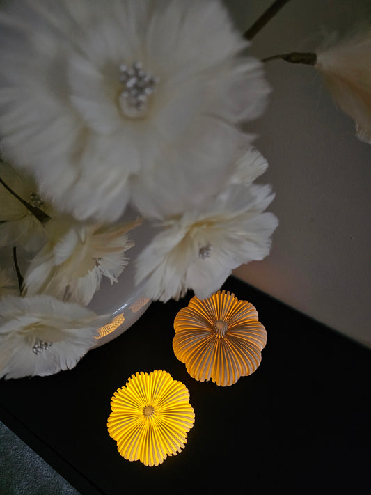 Pompoen | Ledhouders | creme - beige |