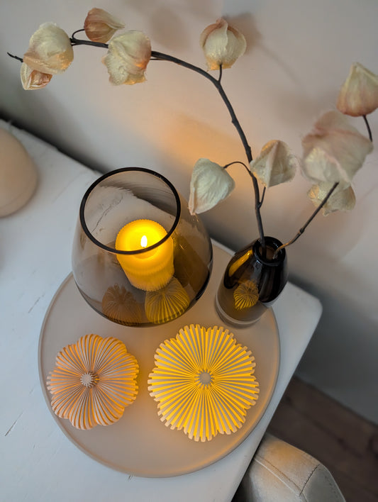 Pompoen set | Creme Beige |