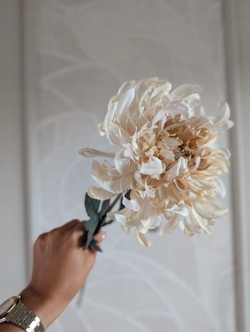Spidermum | Chrysant | 68cm |