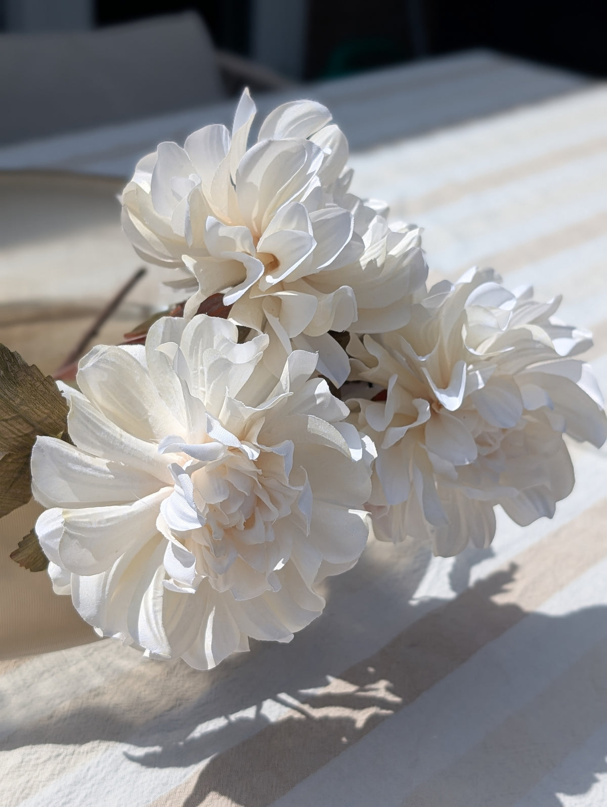 Dahlia | Warm wit | 57cm |