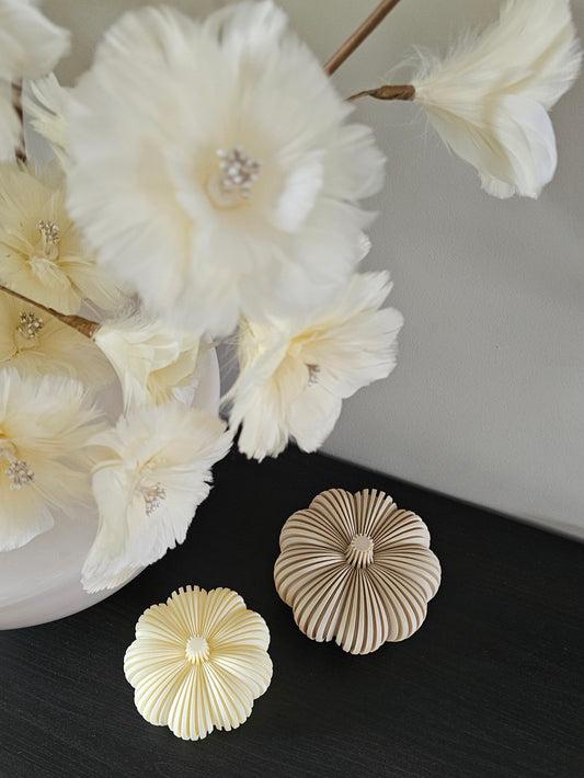 Pompoen | Ledhouders | creme - beige |