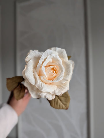 Roos | Creme | 64cm |
