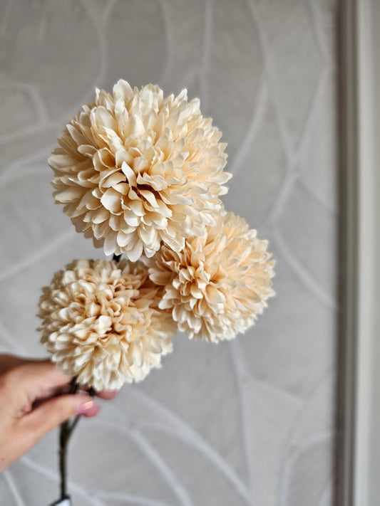 Pompom | Tak |