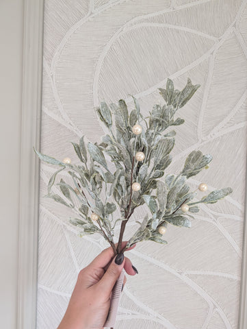 Mistletoe | Maretak |